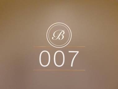 Boutique Hotel Bellevue Rheinfelden / Basel