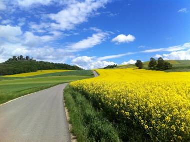 Hotel Landgasthof Hirschen