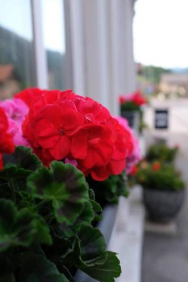 Maison d'hôtes "Hôtel de la Gare"