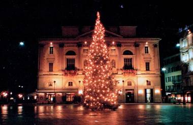 Garden Olive dog friendly