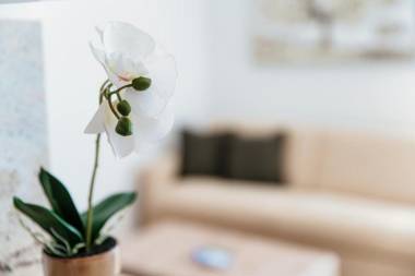 Palace Apartment Lugano