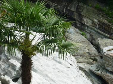 Charme Hotel Ristorante T3e Terre