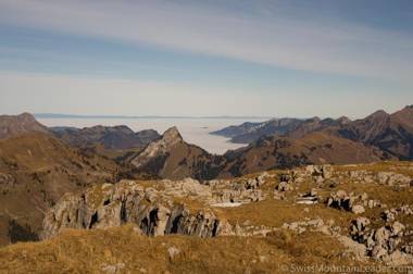Bed & Breakfast l'Epicéa