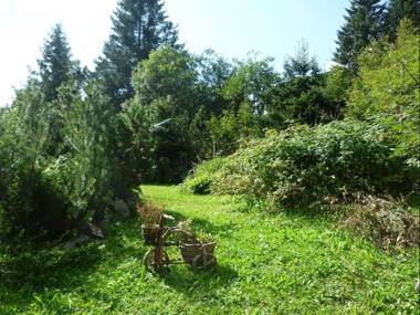 Preschaint (720 Kü)