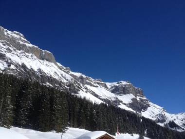 Appartment Chalet Sonnenheim