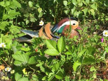 Walters Hostel Interlaken