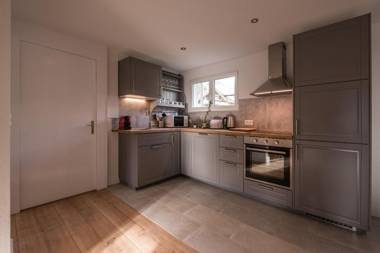 2 Bedroom Mountain View Apartment Interlaken