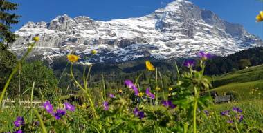 Chalet Bodenwald
