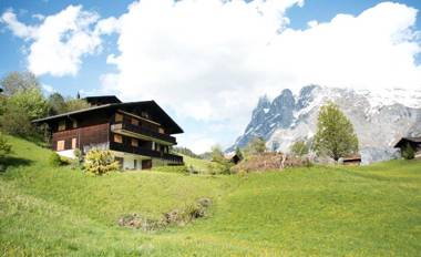 Alpine Boutique Apartments Grindelwald gletscher