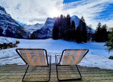 Alpine Boutique Apartments Grindelwald gletscher