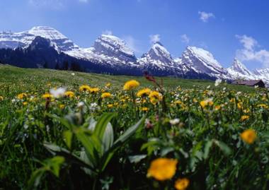 Berggasthaus Oberdorf
