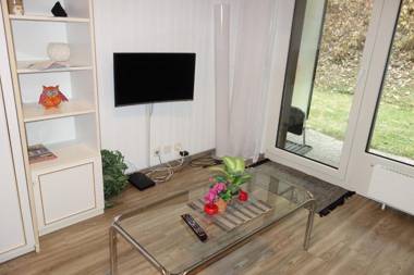 Remointze COSY & CENTER apartments by Alpvision Résidences