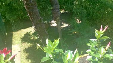 Hotel Garni dei fiori