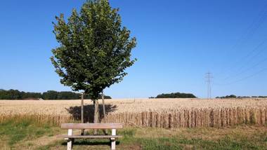 MyBednBreakfast in Bottmingen