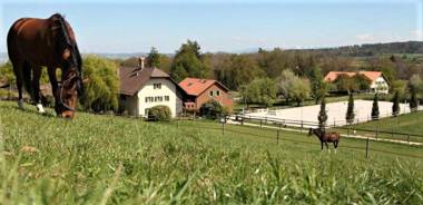 Guesthouse La Moliere