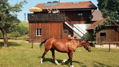 Guesthouse La Moliere