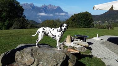 Chalet AishaLes Chevreuils