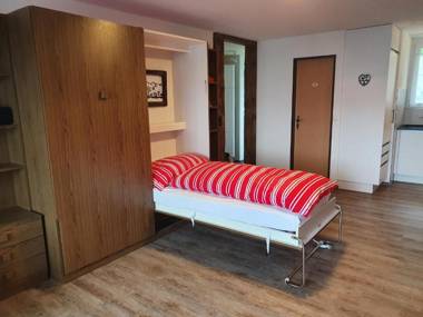 Elfe-apartments Studio for 2-4 guests with balcony and panorama view