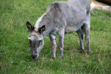 la Cibourg Centre de vacances