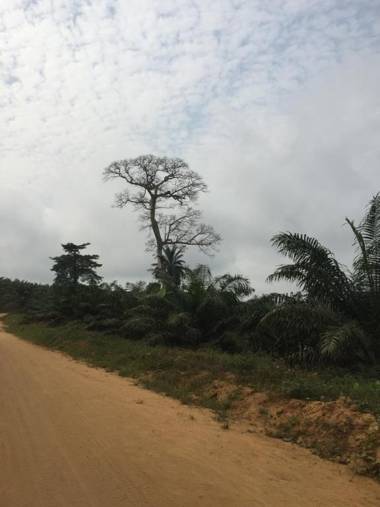 Villa CB village Aby