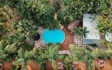 Rarotonga Daydreamer Escape