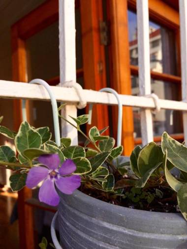 Esencia Hotel Boutique