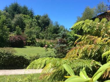 Complejo Cabañas Pétalos