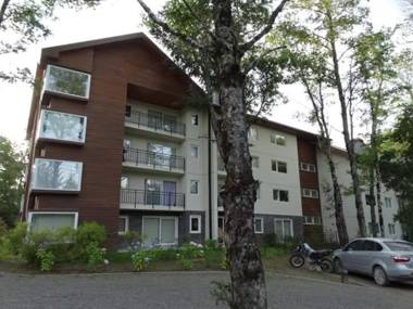 Condominio Pucon Andino