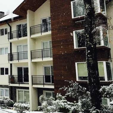 Condominio Pucon Andino