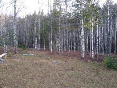 Cabaña entre Arboles