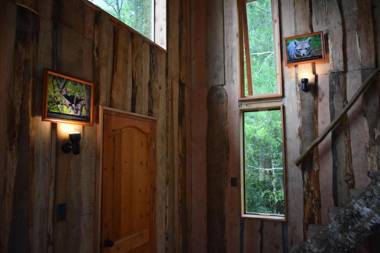 Proyecto COYAM cabañas lofts tinas privadas sendero por el bosque