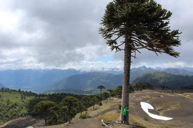 Depto primera línea de playa para 5 personas