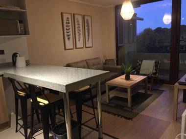 Departamento Villarrica frente al Lago