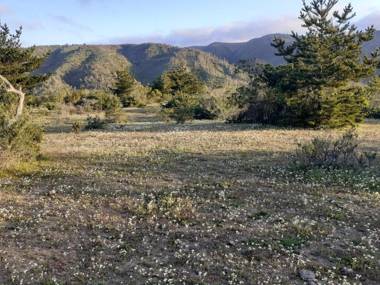 Cabaña Las Orquideas 1 Laguna Verde Valparaiso