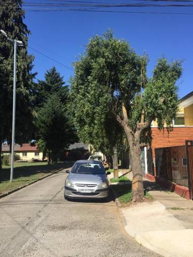 Tribu Malen Apartamentos