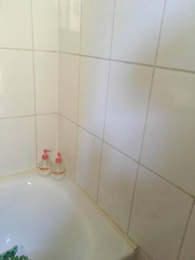 Bohemian Rhapsody Zenteno