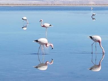 Hostal La Casa Blanca