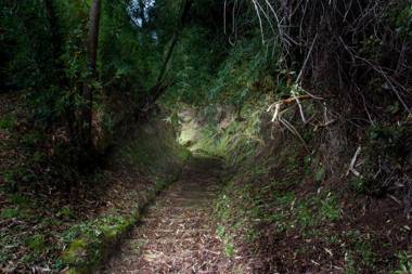 Bordemundo B&B y Cabañas