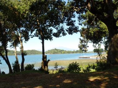 Decher Apartment - Puerto Varas