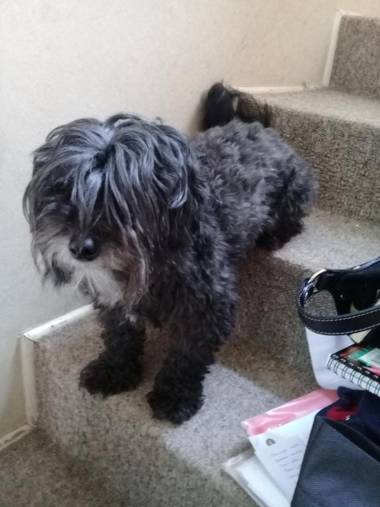 habitacion privada Patagonia Norte - Puerto Varas homestay - Mailen - BnB Plus