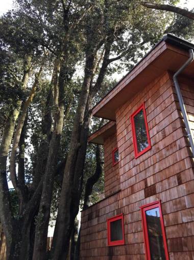 Almabosque Cabañas