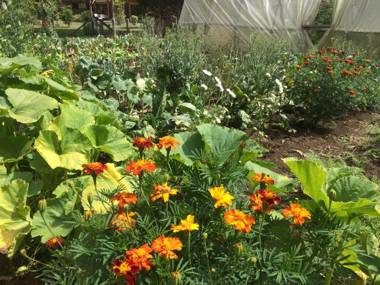 Ecoreserva Quelhue Lodge y Cabañas