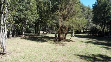 Cabañas Rustica Pucon Río Trancura