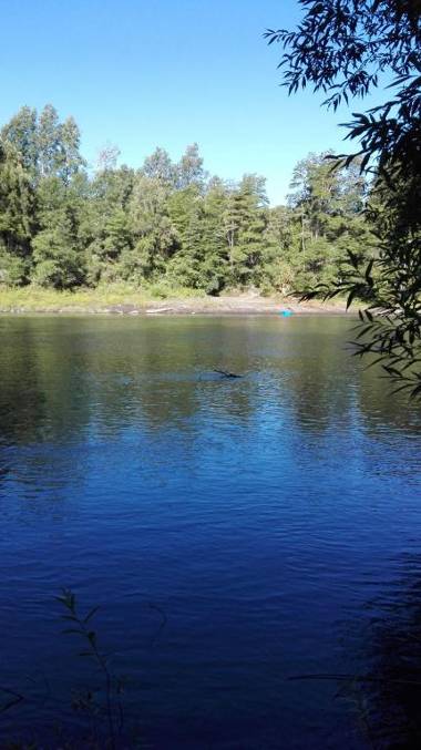 Cabañas Rustica Pucon Río Trancura