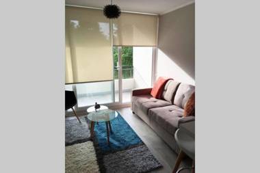 Nuevo y muy bien equipado departamento en Pucón