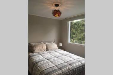 Nuevo y muy bien equipado departamento en Pucón