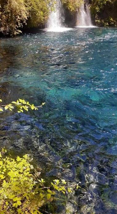 Cabañas el Mañio a pasos de Ojos del Caburgua y playa Caburgua