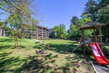 Parque Pinares Pucón Chile