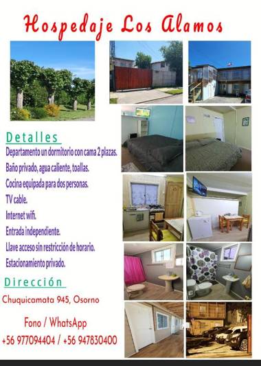 Hospedaje los Alamos