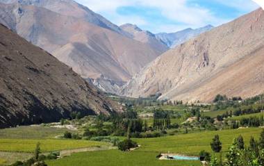 BONITO DEPARTAMENTO A METROS DE AVENIDA DEL MAR